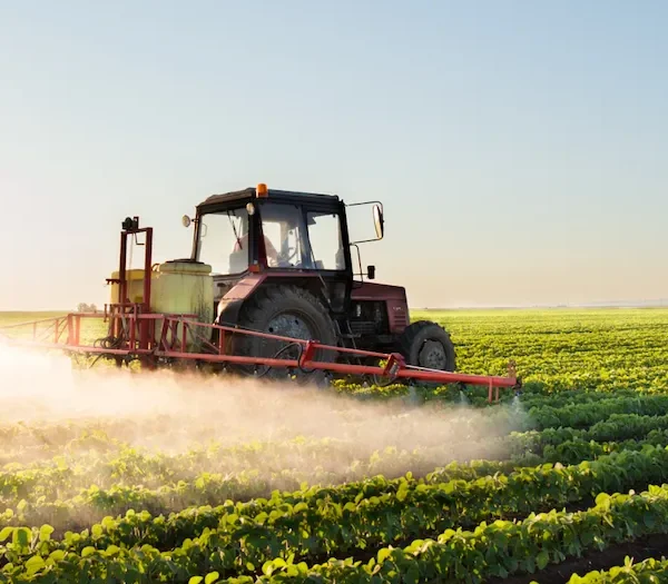 674882e878947fd98ea04607_post-23-small