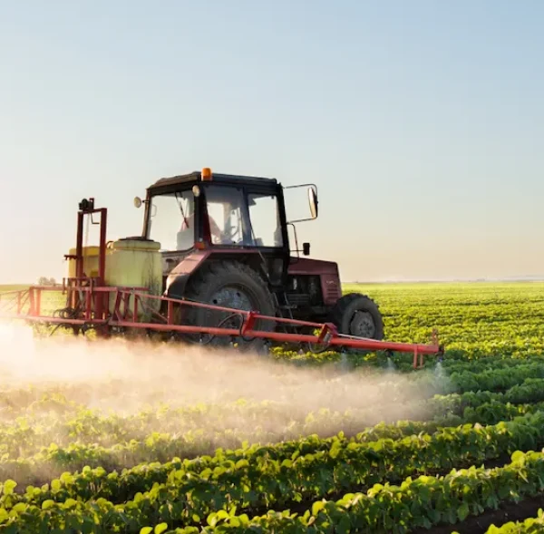 674882e878947fd98ea04607_post-23-small